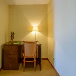 Amazonia Jamor 4*