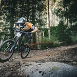 ホテル Amazonia Jamor