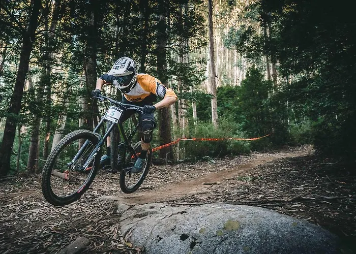 Hotel Amazonia Jamor