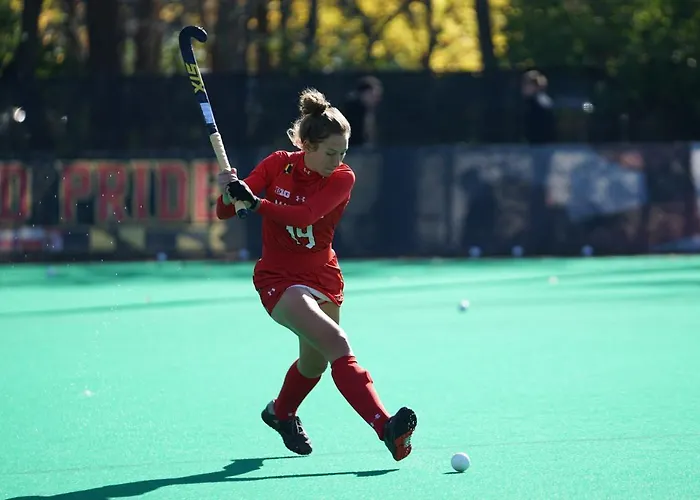 Amazonia Jamor 4* Linda-a-Pastora